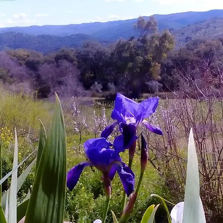 La Cartuja De Cazalla * Cazalla de la Sierra